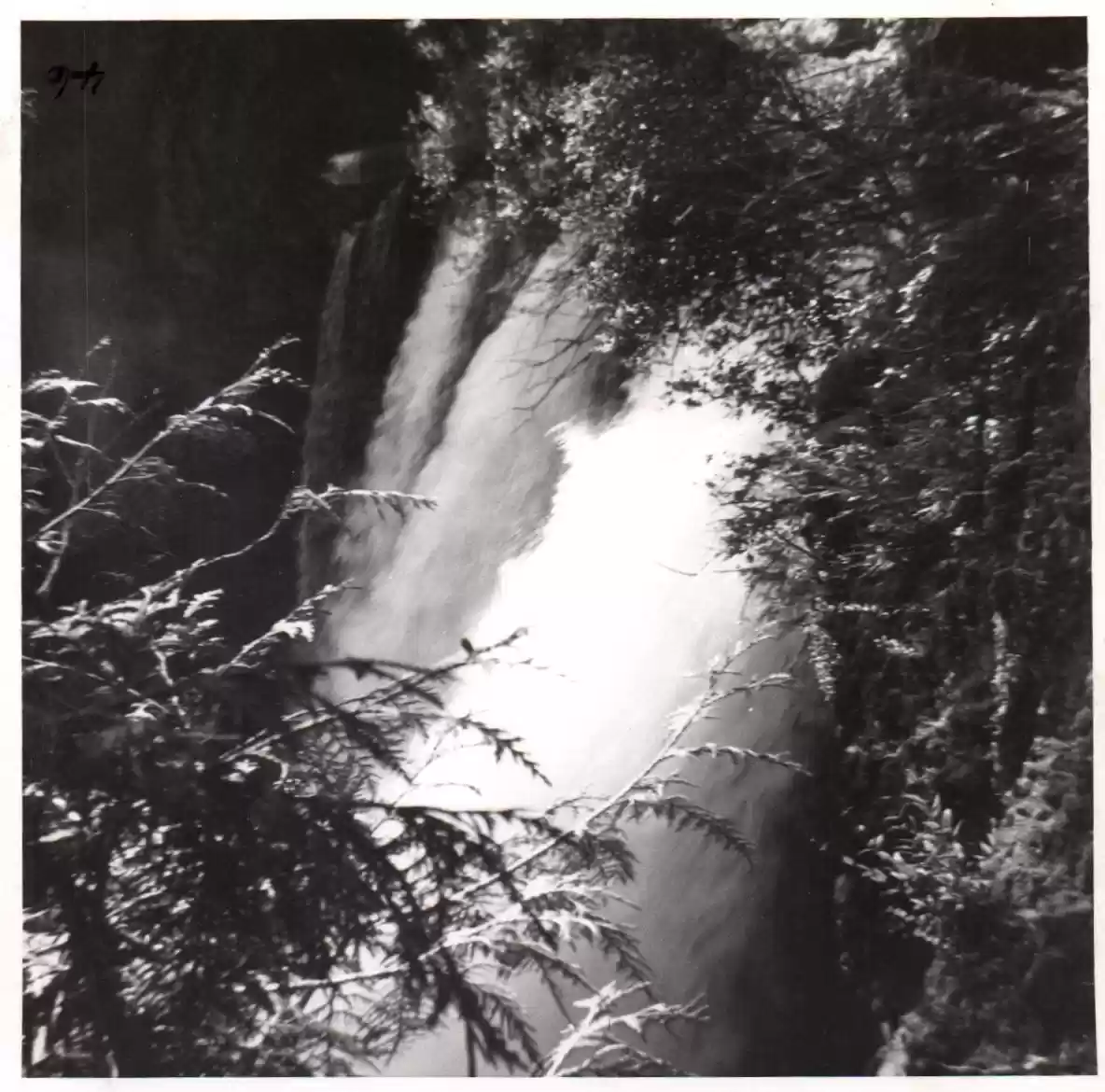 46 - Feast at Belknap Springs, OR